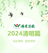 風起清明 遙寄相思|楊藝集團?2024清明篇